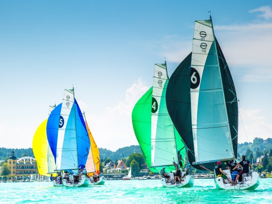 SBL1 550 c David Pichler